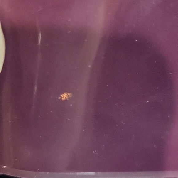 Gucci Interlocking G Logo Rubber Pumps Wedge Rubber Purple Open Toe Size 38 - Picture 10 of 14